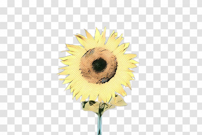 Sunflower - Pop Art - Seed Gerbera Transparent PNG