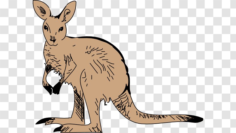 Kangaroo Free Content Clip Art - Stockxchng - Wildlife Clipart Transparent PNG