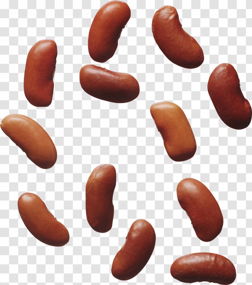 Common Bean Kidney Pea Food Transparent PNG