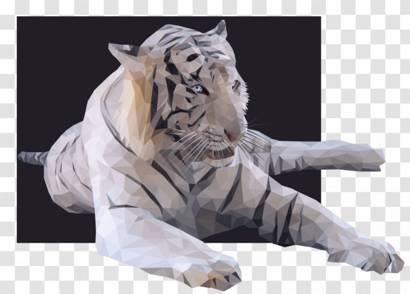 Felidae White Tiger Siberian Animal - Fur Transparent PNG