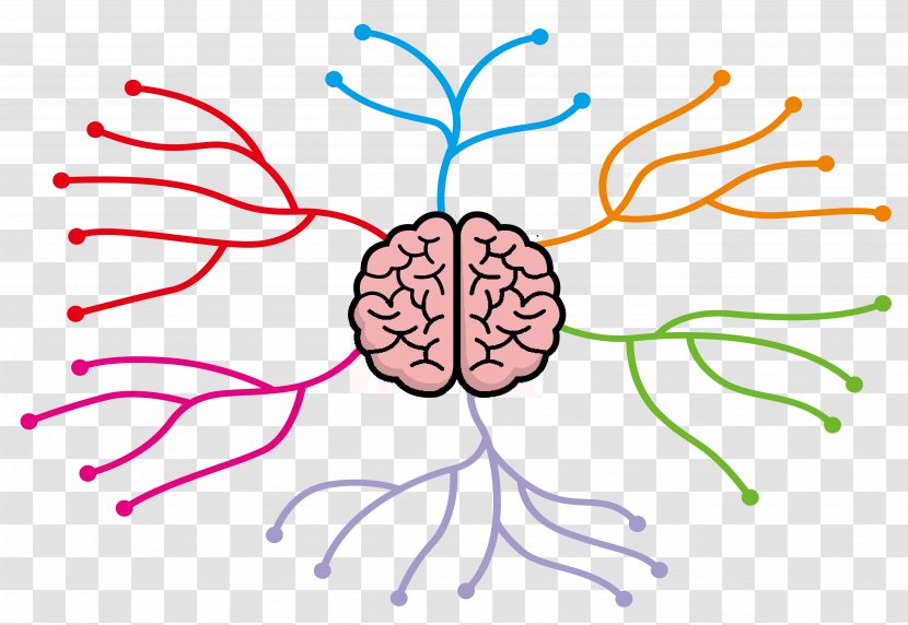 Mind Map Clip Art - Cartoon - Brain Thinking Divergent Color Tree Transparent PNG