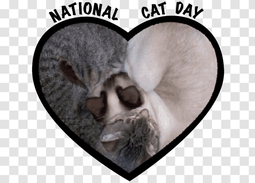 International Cat Day Kitten World - National Hugging Transparent PNG