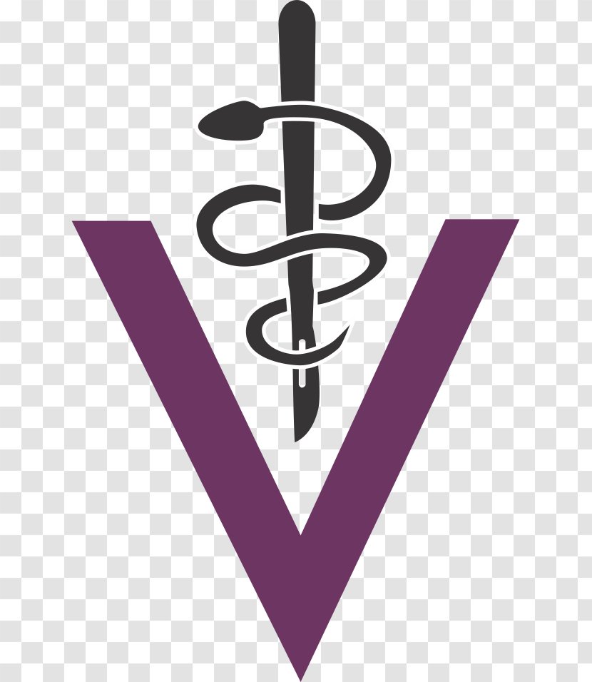 University Of Buenos Aires Logo General Surgery Medicine - Specialty - Bienvenida Insignia Transparent PNG