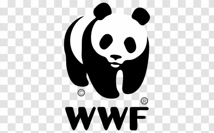 World Wide Fund For Nature Logo Design Giant Panda WWF Adria - Chief Executive Transparent PNG