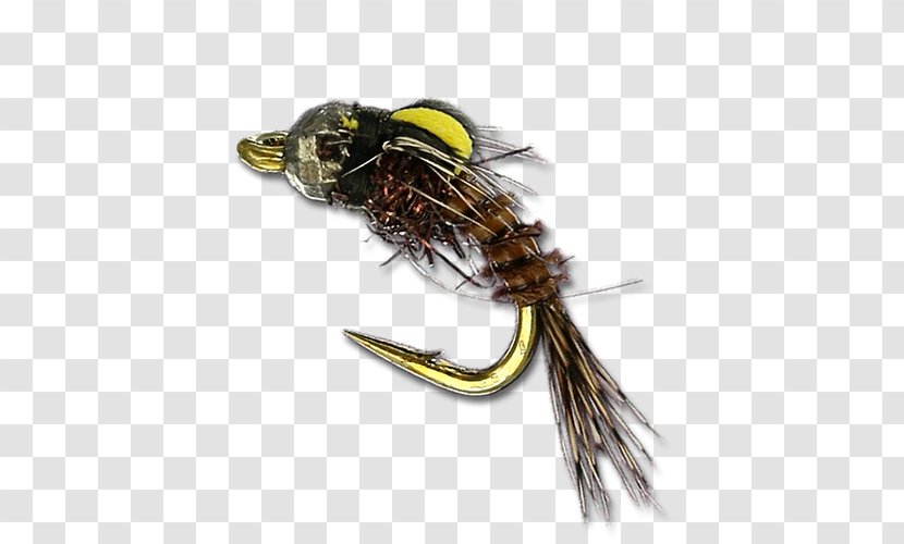 Fishing Bait Insect - Fly Transparent PNG