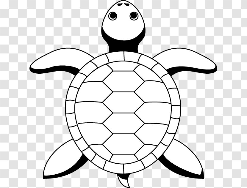 Sea Turtle Tortoise Line Art Drawing - Tortoide Transparent PNG