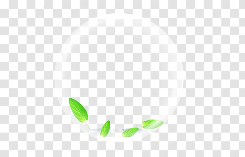 Google Images Icon - Black - Small Fresh Green Leaves Floating Bubbles Transparent PNG