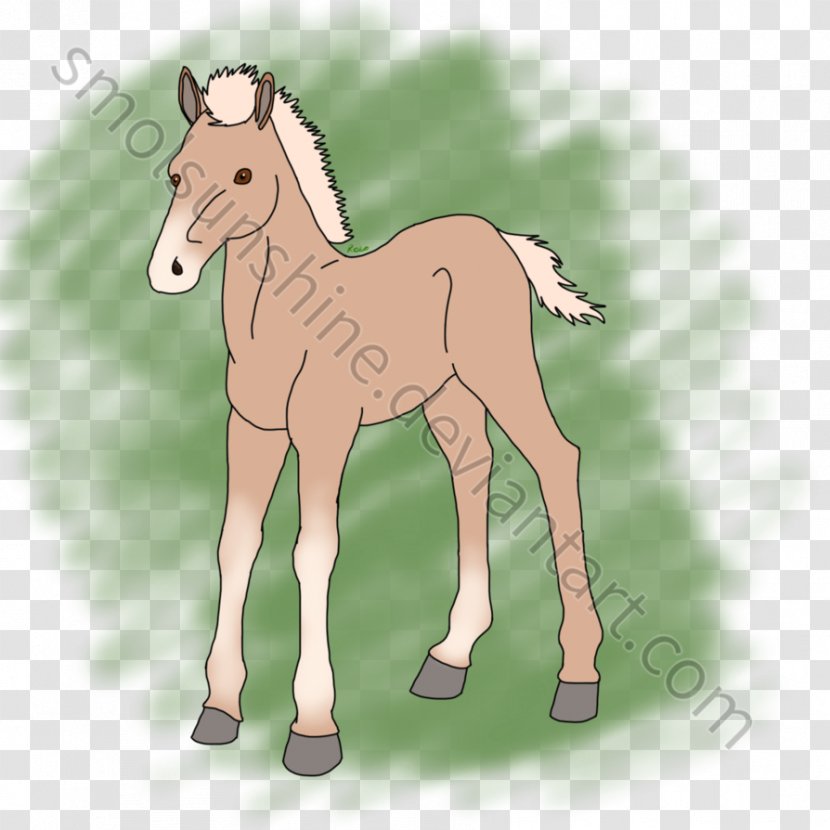 Mule Foal Mustang Stallion Mare - Mammal Transparent PNG