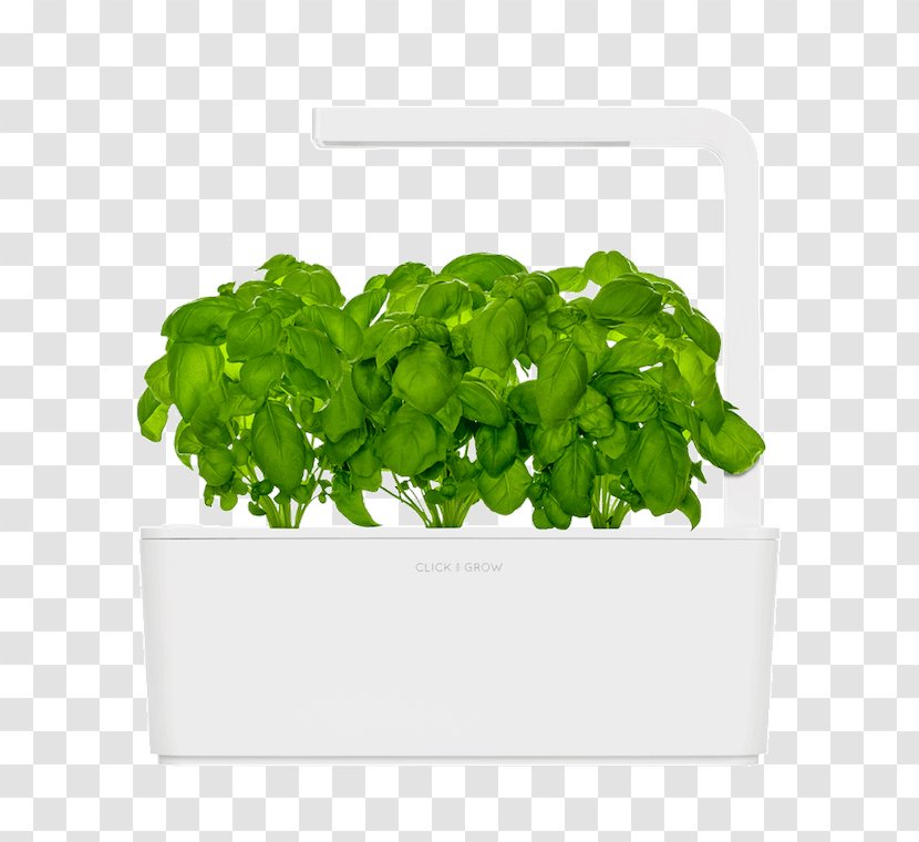 Gardening Click & Grow Herb Growing - Basil - Garden Transparent PNG