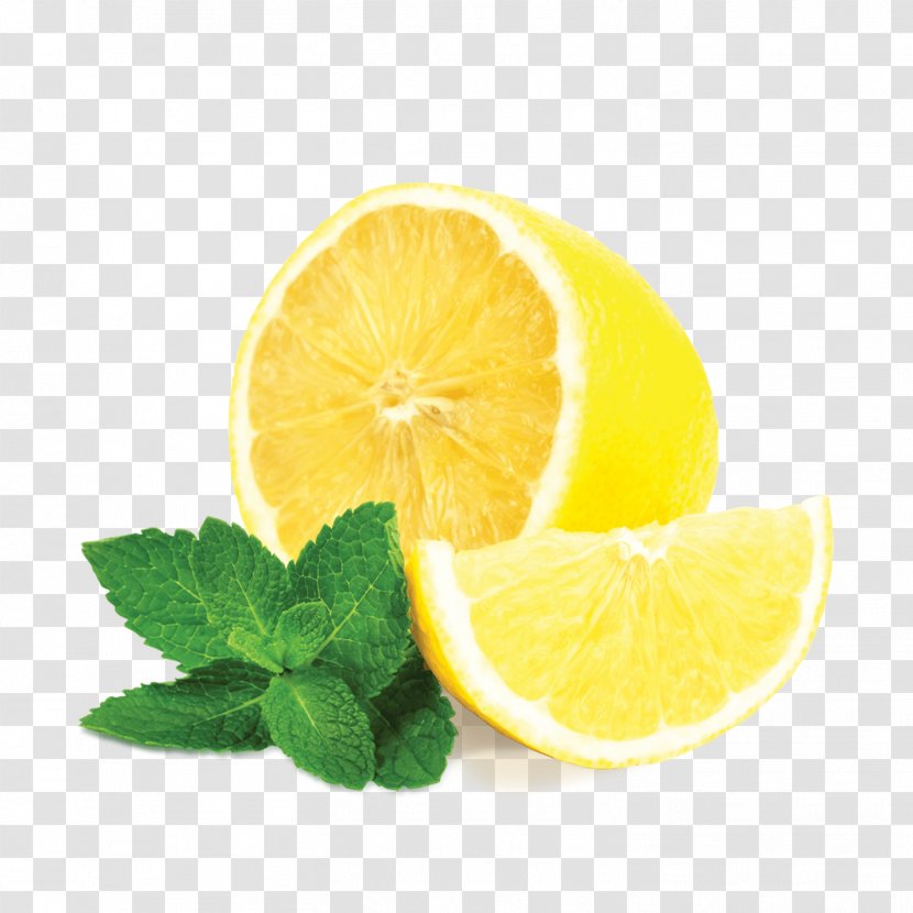 Tea Lemon Beebalm Mentha Spicata Flavor - Watercolor - Mint Leaves Transparent PNG