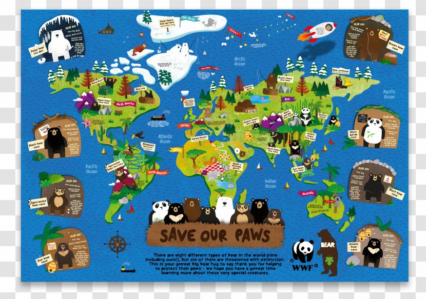 Grizzly Bear Koala World Map - Pc Game Transparent PNG