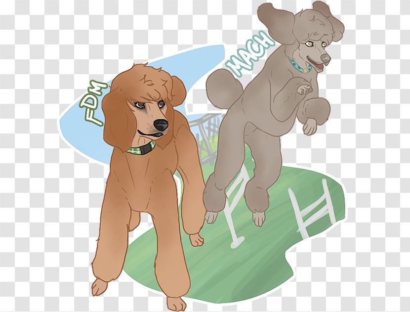 Puppy Sporting Group Dog Breed Retriever Transparent PNG