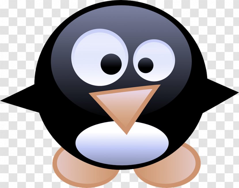 Penguin - Cartoon - Bird Transparent PNG