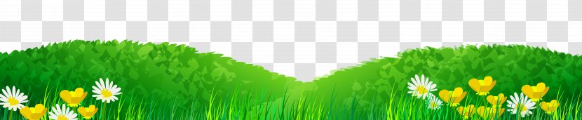 Lawn - Commodity - Fresh Green Grass Transparent PNG