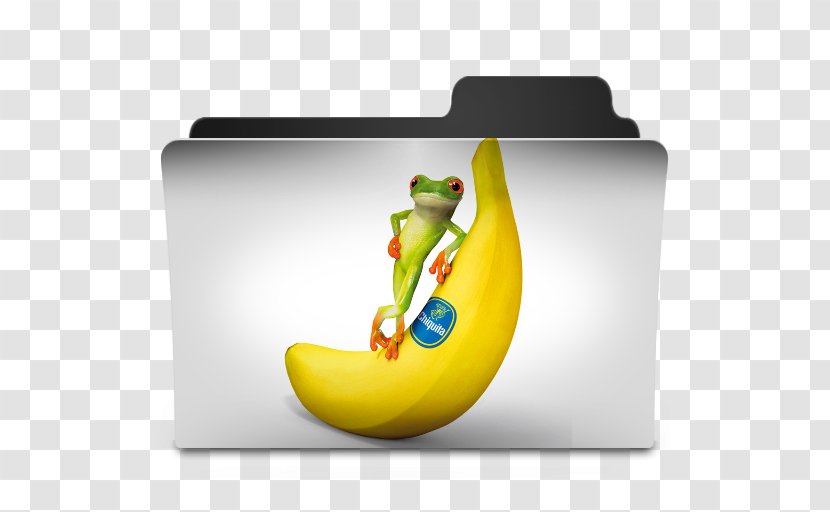 Frog Banana Directory - Yellow Transparent PNG