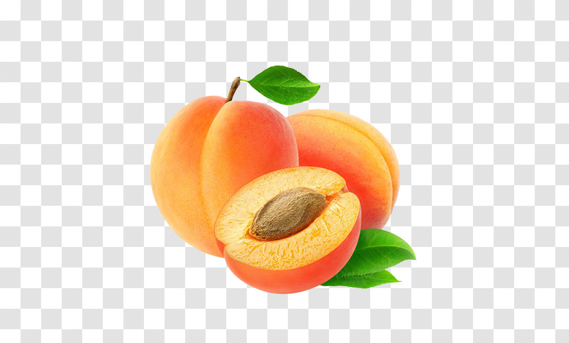 Fruit European Plum Food Apricot Apricot Kernel Transparent PNG