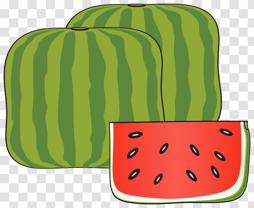 Watermelon Cucurbitaceae Clip Art - Melon Transparent PNG