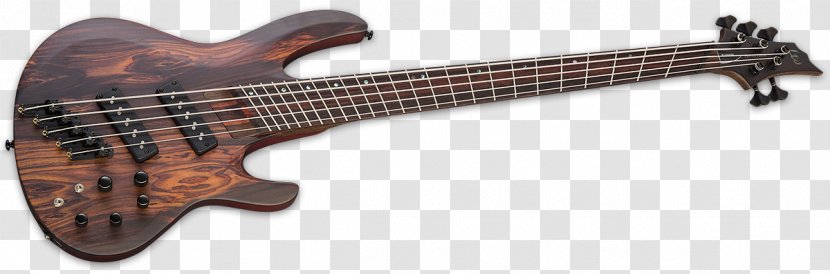 Bass Guitar Acoustic-electric ESP Guitars - Flower Transparent PNG