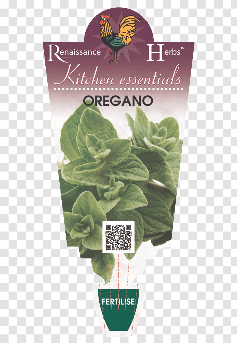Romaine Lettuce Spring Greens Leaf Herb - Milliliter - Oregano Transparent PNG