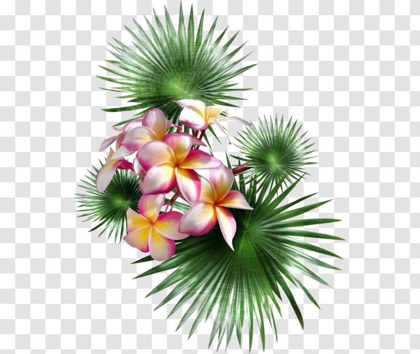 Palm Trees Flower Petal Painting - Plant - Flowering Transparent PNG
