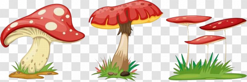 Fungus Cartoon Mushroom Transparent PNG