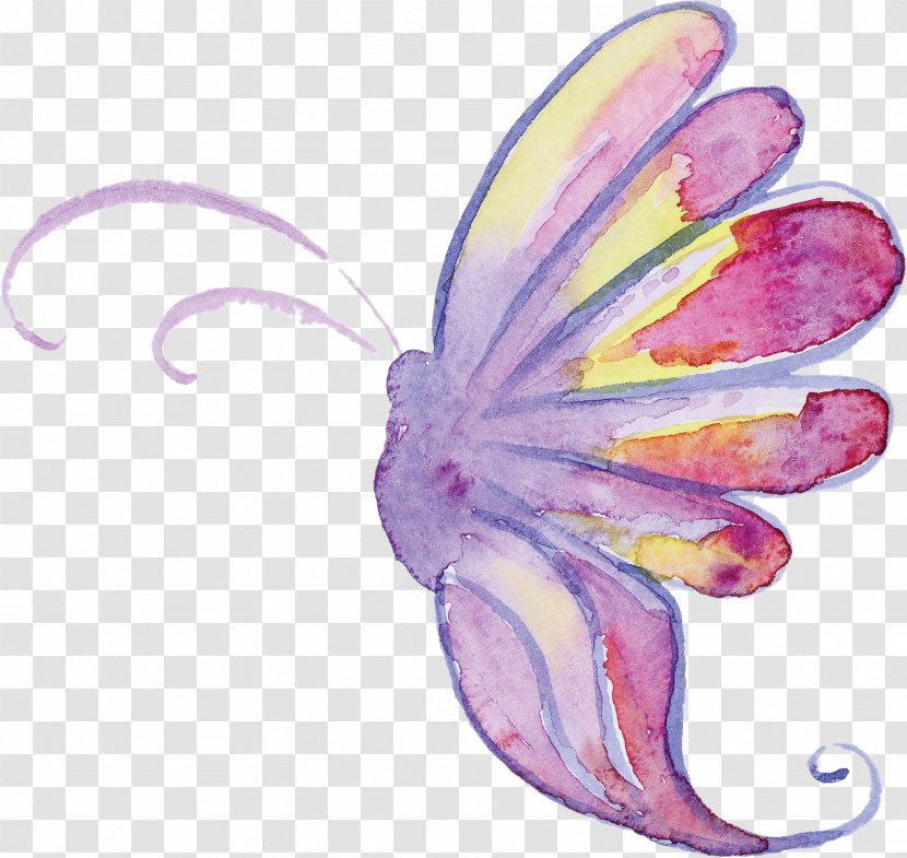 Monarch Butterfly Insect Moth Pollinator - Carefor Health And Community Services Amelia - Watercolour Transparent PNG