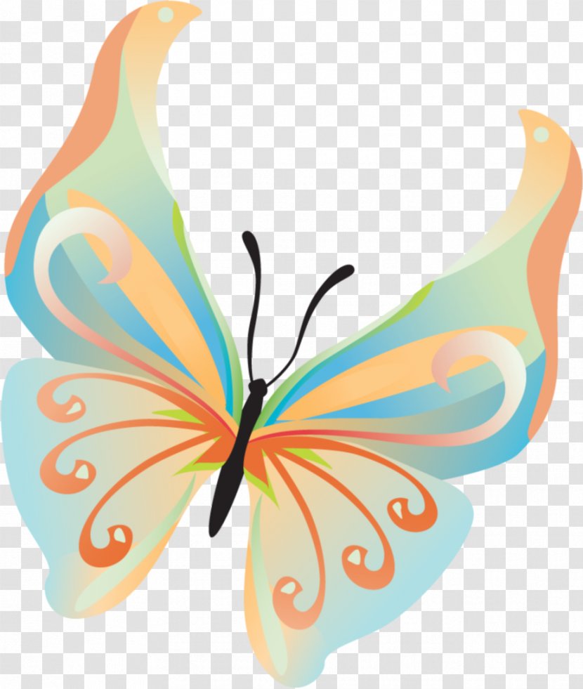 Monarch Butterfly Drawing Clip Art - Wing Transparent PNG