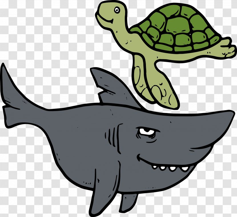 Shark Sea Turtle Vecteur - Marine Biology - Turtles And Sharks Transparent PNG