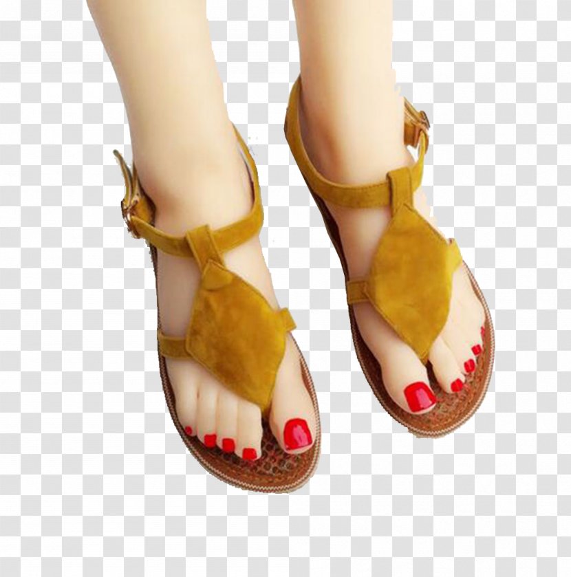 Slipper Sandal Flip-flops Shoe - High Heeled Footwear - Brown Sandals Transparent PNG
