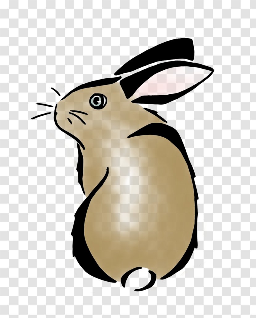 Domestic Rabbit Easter Bunny Hare Clip Art - Whiskers Transparent PNG