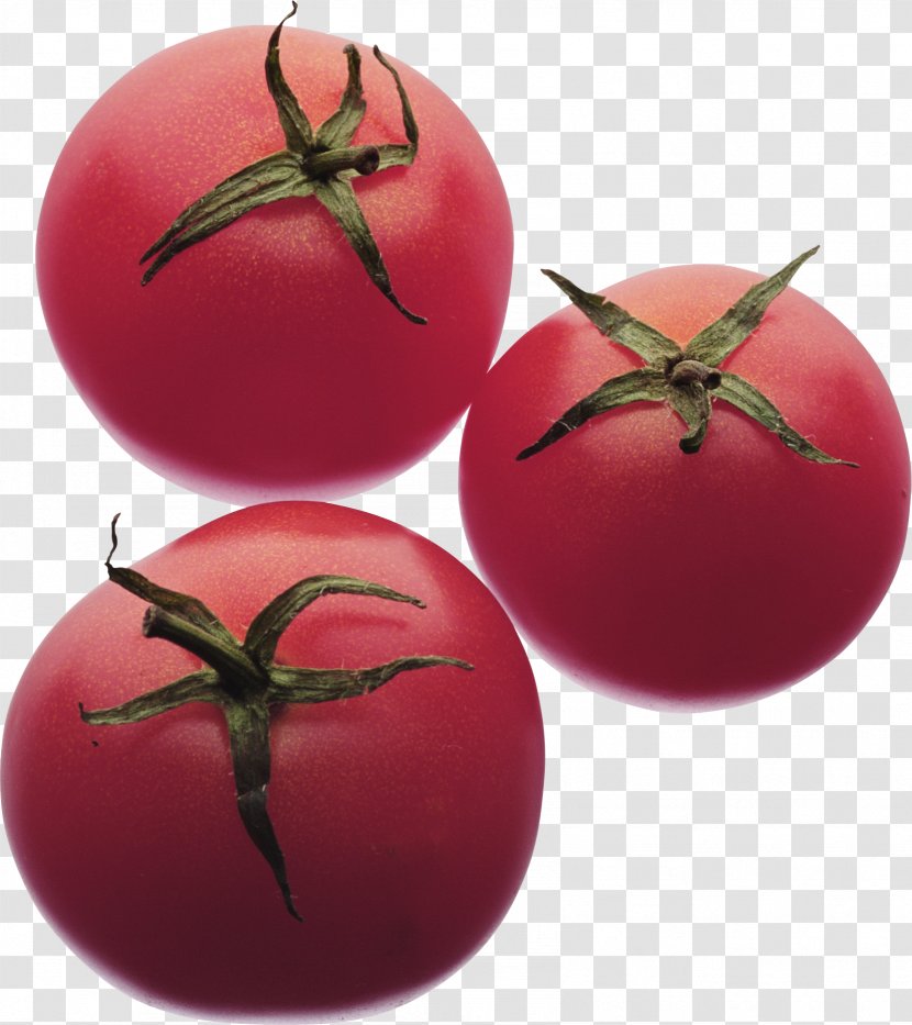 Tomato Soup Vegetable Fruit Food - Potato And Genus - Tomatoes Transparent PNG