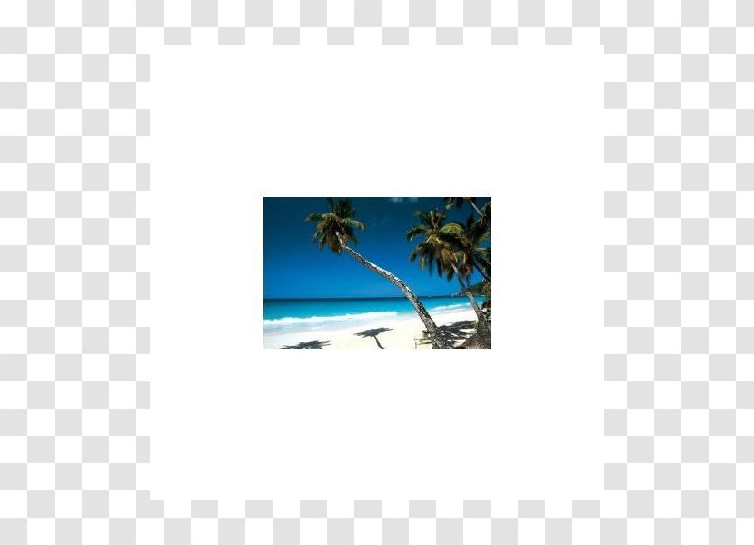 Seychelles Picture Frames Rectangle Microsoft Azure - Light Strands Transparent PNG