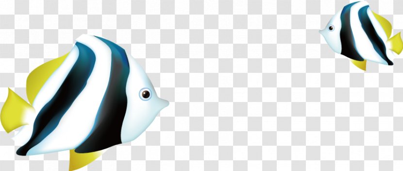 Clip Art - Copyright - Color Fish Transparent PNG