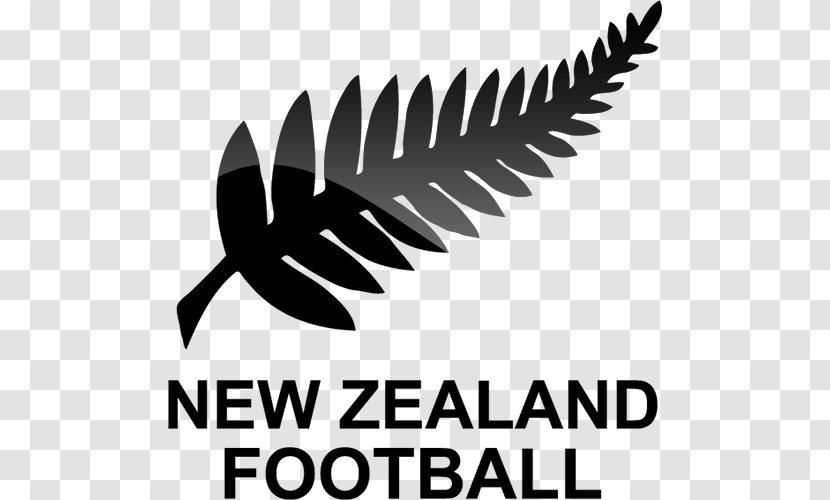 New Zealand National Football Team Logo Under-20 Women's - 2018 Fifa World Cup Qualification Transparent PNG