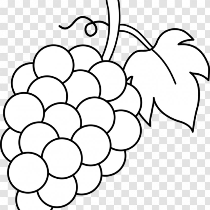 Common Grape Vine Coloring Book Leaves Fruit - Floral Design Transparent PNG