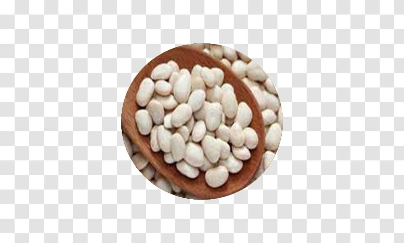 Lima Bean Navy Kidney Legume - Food - Beans Transparent PNG