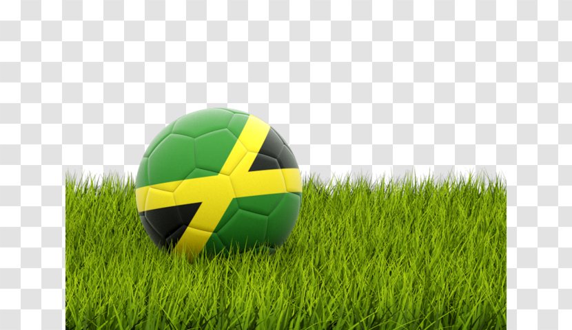 Serbia National Football Team Senegal FIFA World Cup Arabian Gulf - Artificial Turf Transparent PNG