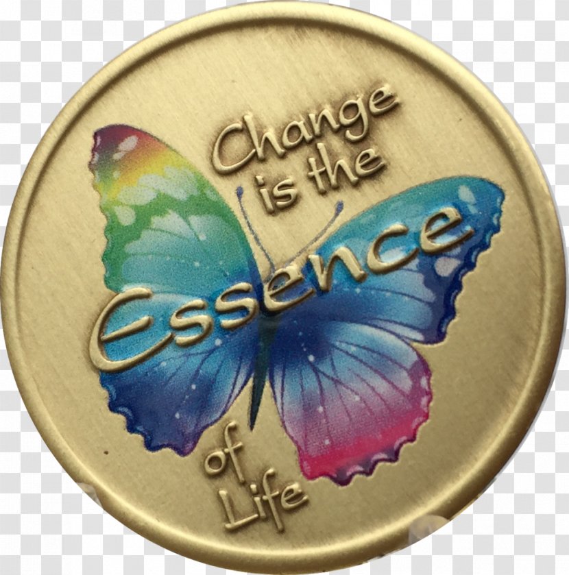 Butterfly Serenity Prayer Color Insect - Invertebrate - Gold Plate Transparent PNG