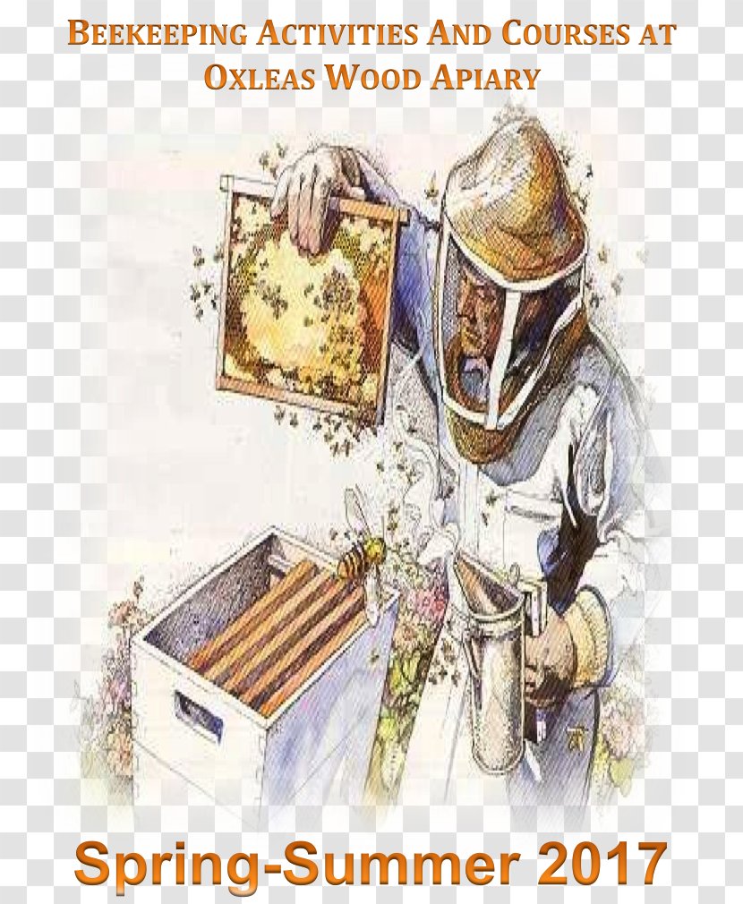 Oxleas Wood Apiary Eltham Beekeeping - Animal - Bee Transparent PNG