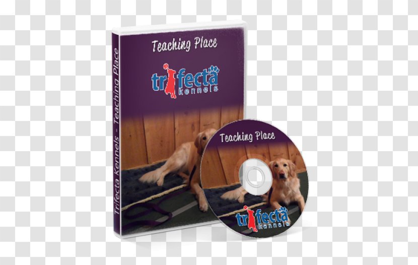 Teach Your Dog To Come When Called Puppy DVD Training - Learning - Place Transparent PNG