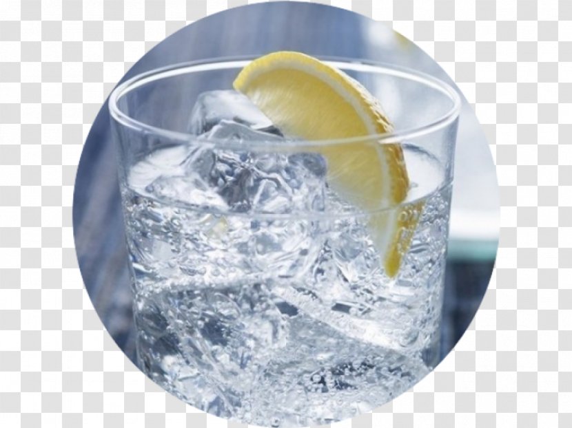 Gin And Tonic Water Alcoholic Drink Cocktail - Liquor Transparent PNG