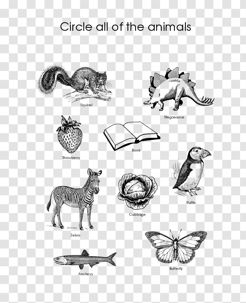Animal Cat Worksheet Horse Vertebrate - Silhouette - Anchovy Transparent PNG