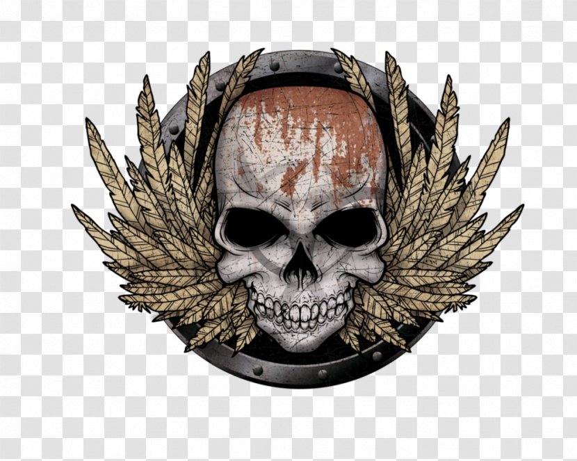 Skull - Bone Transparent PNG