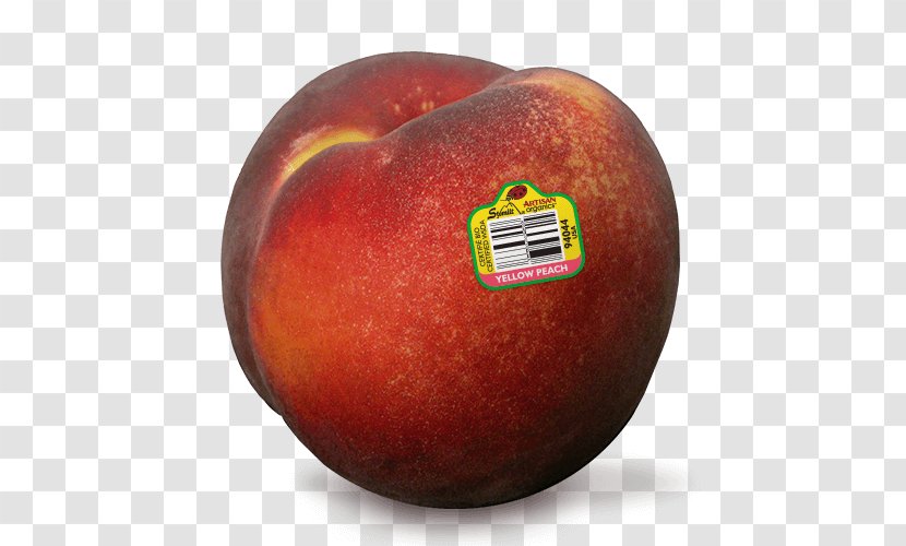 Organic Food Nectarine Apple - Peach - Fruit Transparent PNG