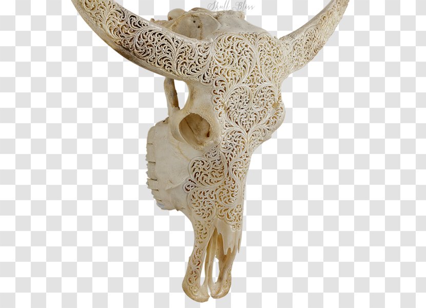 Animal Skulls Skeleton XL Horns Cattle - Artifact - Buffalo Skull Transparent PNG