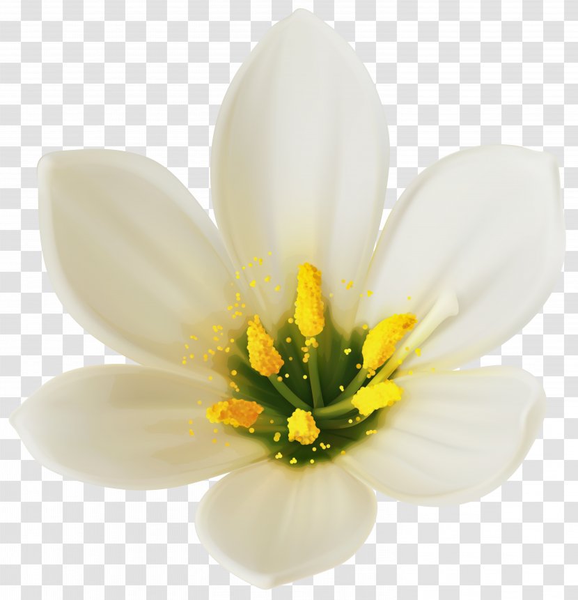 Flower Bouquet White Clip Art - Lilium - Clipart Image Transparent PNG