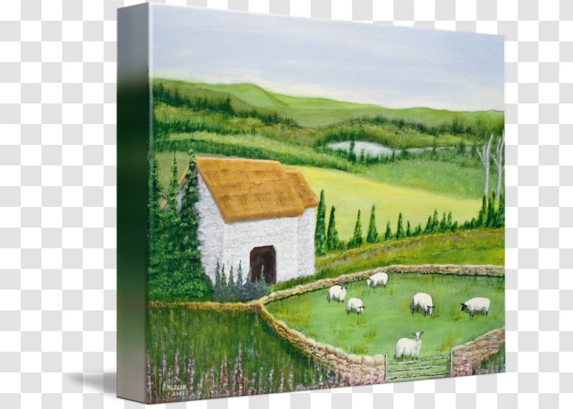 Sheep Farming Painting Ireland - Farm Transparent PNG