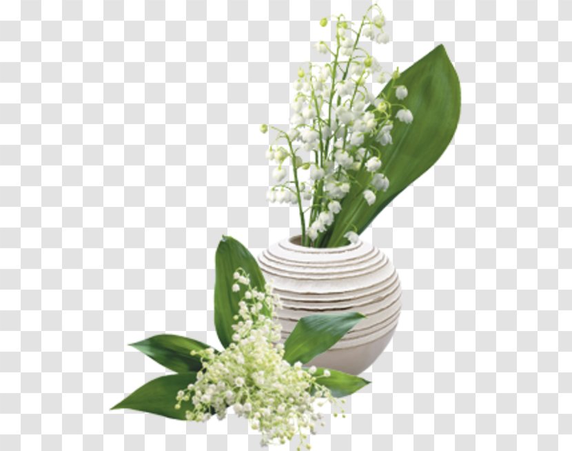 Lily Of The Valley Flower Lilium - Photography Transparent PNG