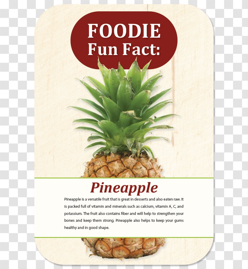 Pineapple Fruit Auglis Food Juice Transparent PNG