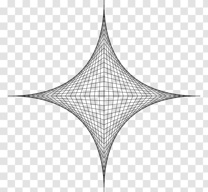 Line Point Symmetry Angle Leaf - Plant Transparent PNG